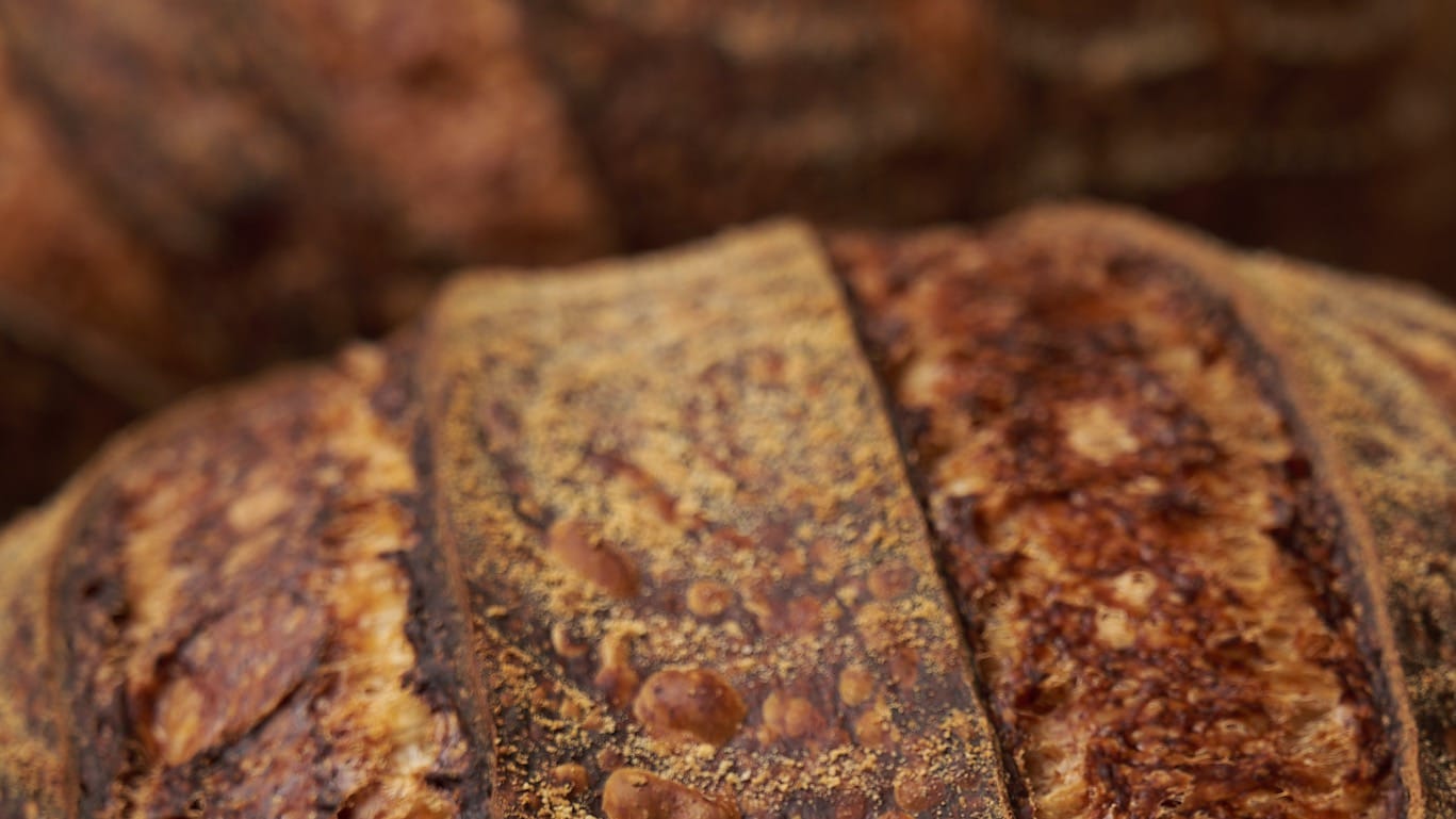 Gros plan sur la croûte grignée de deux pains au levain