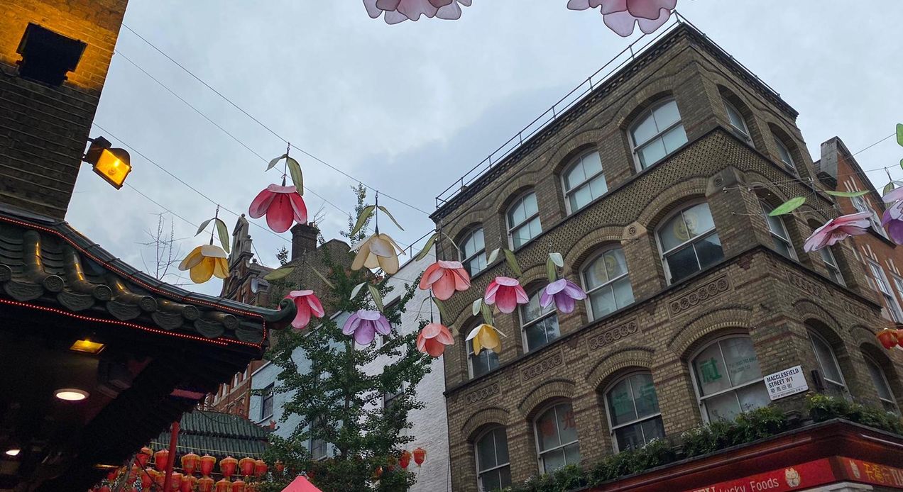 Un jardin botanique à Chinatown