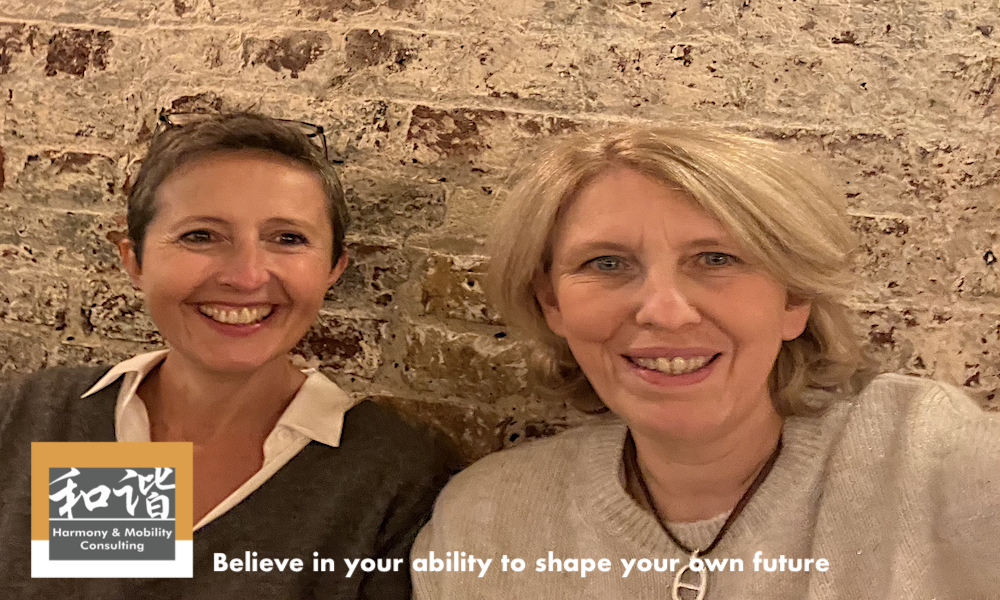 Harmony Mobility Consulting Un accompagnement personnalisé pour vous aider à piloter votre carrière.