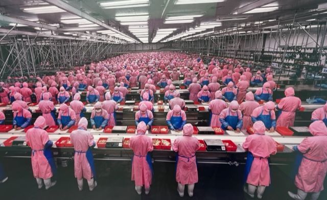 "Civilization" : un portrait polémique de l’humanité du XXIe siècle.