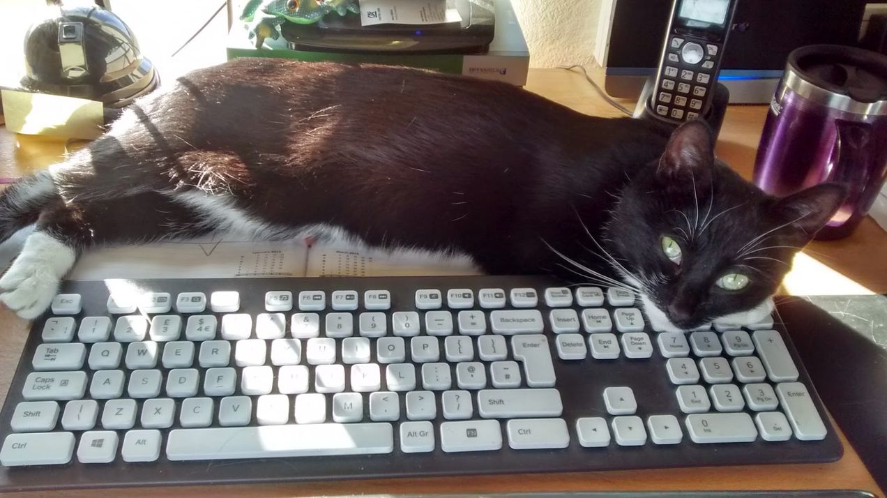 Traduction certifiée anglais-français