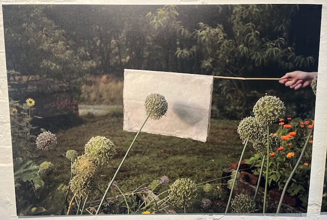 Changement climatique : la grande métamorphose de nos paysages exposée à Londres