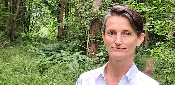 Psychothérapie en ligne en français ou en anglais