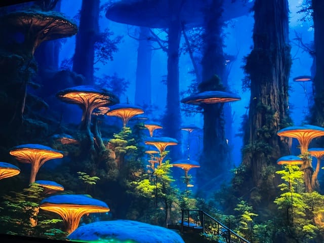 "Echos de la Terre" des pixels et des rêves.