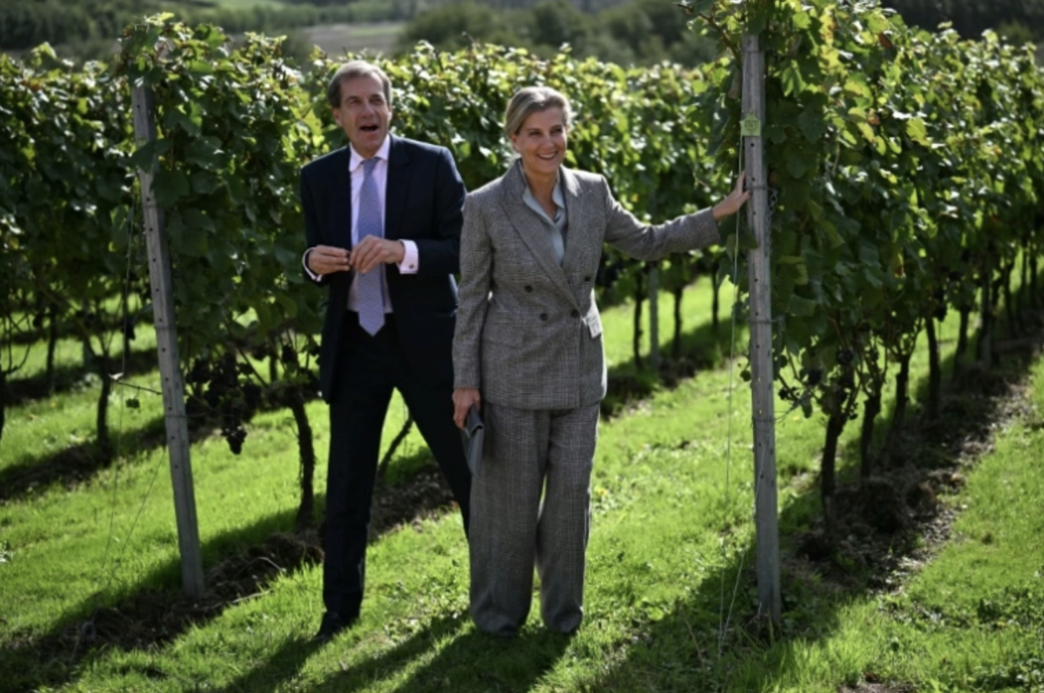 En Angleterre, le vin pétillant met les maisons de champagne en effervescence