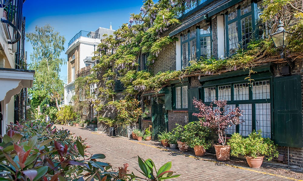 Lurot Brand | Mews Specialists