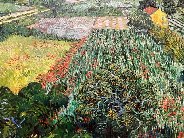 Exposition Van Gogh : du mouvement dans la couleur