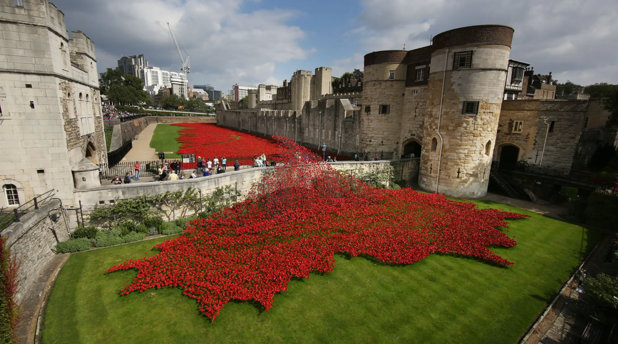 Tapis de coquelicots à la Tour de Londres pour les commémorations du 8 mai