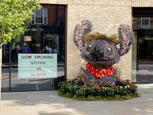 Chelsea Flower Show 2025