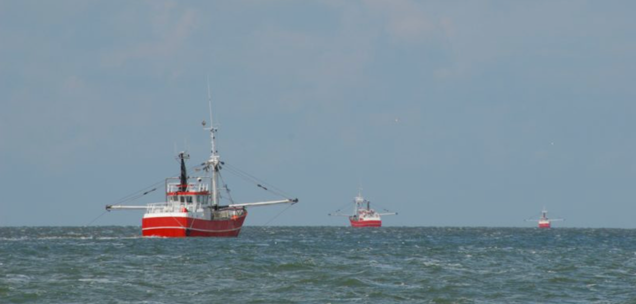 UE-Royaume-Uni : un nouvel accord de pêche pour 2026 préserve les intérêts français