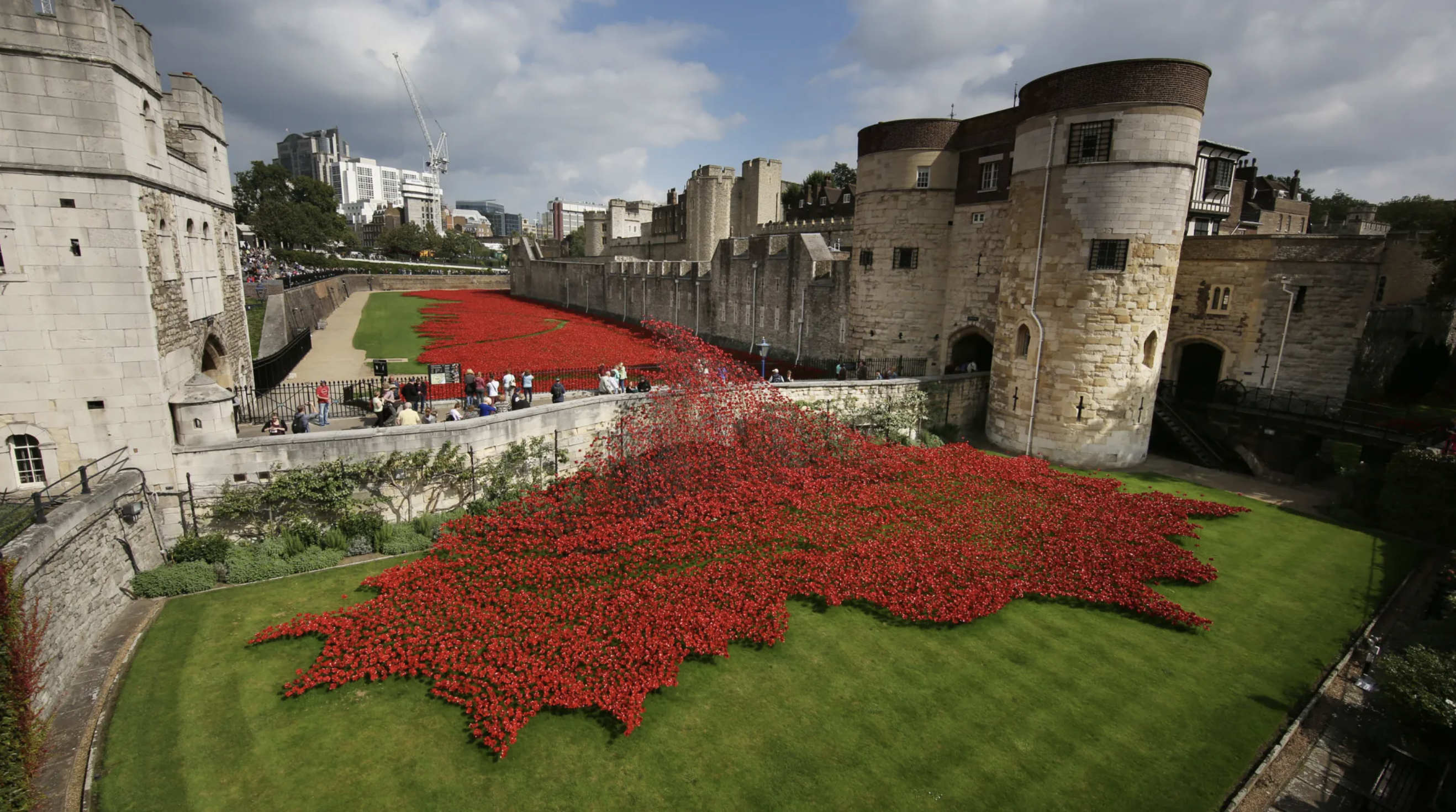 Tapis de coquelicots à la Tour de Londres pour les commémorations du 8 mai