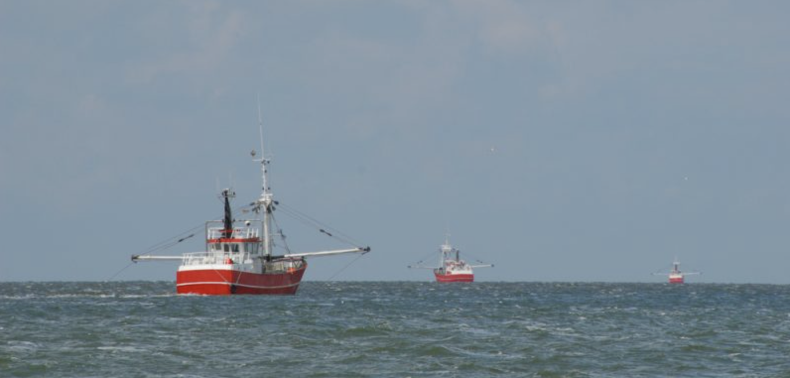 UE-Royaume-Uni : un nouvel accord de pêche pour 2026 préserve les intérêts français
