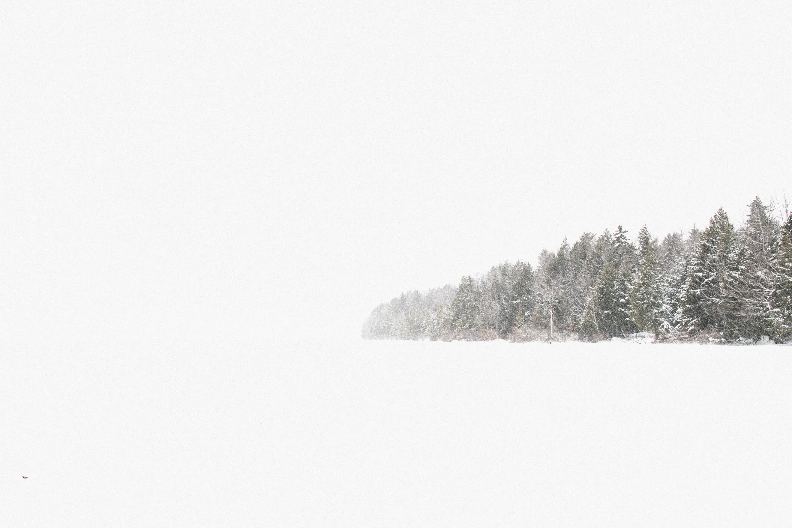 L’émission de radio Bouche à Oreille découvre 'Blizzard', premier roman de Marie Vingtras